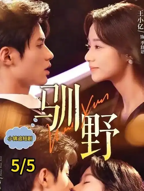 我们的十年 青春群像热播剧全集